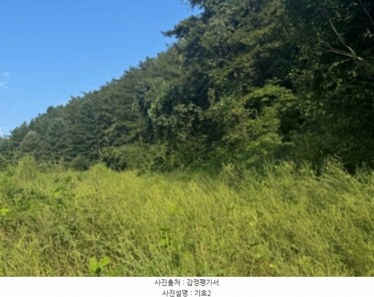 2024타경38139 경기도 양평군 양동면 계정리 293-2 농지 경매 이미지