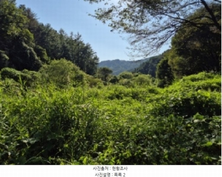 2024타경38139 경기도 양평군 양동면 계정리 293-2 농지 경매 이미지