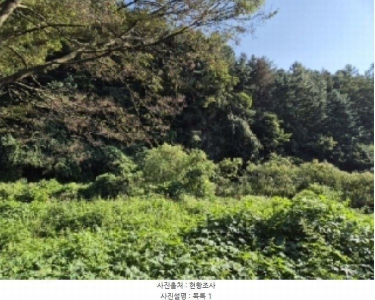 2024타경38139 경기도 양평군 양동면 계정리 293-2 농지 경매 이미지