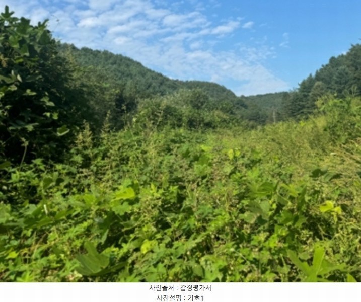 2024타경38139 경기도 양평군 양동면 계정리 293-2 농지 경매 이미지