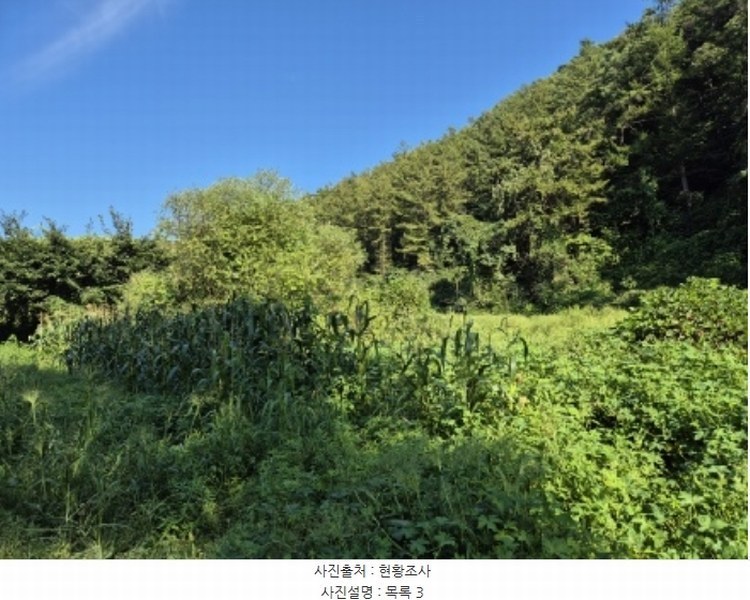 2024타경38139 경기도 양평군 양동면 계정리 293-2 농지 경매 이미지