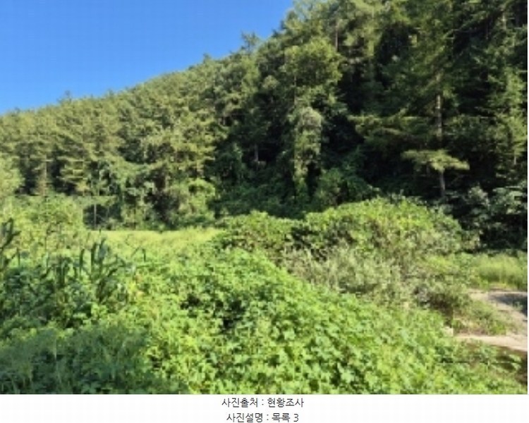 2024타경38139 경기도 양평군 양동면 계정리 293-2 농지 경매 이미지