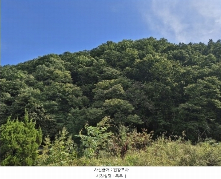 2024타경39705 경기도 양평군 강하면 동오리 산64 임야 경매 이미지