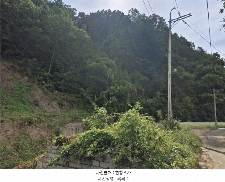 2024타경39705 경기도 양평군 강하면 동오리 산64 임야 경매 이미지