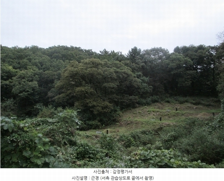 2024타경39705 경기도 양평군 강하면 동오리 산64 임야 경매 이미지