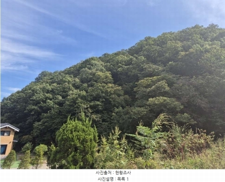 2024타경39705 경기도 양평군 강하면 동오리 산64 임야 경매 이미지
