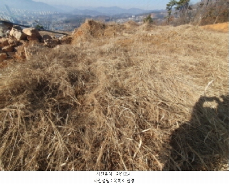 2024타경41739 경기도 양평군 양평읍 백안리 105-55 대지 경매 이미지
