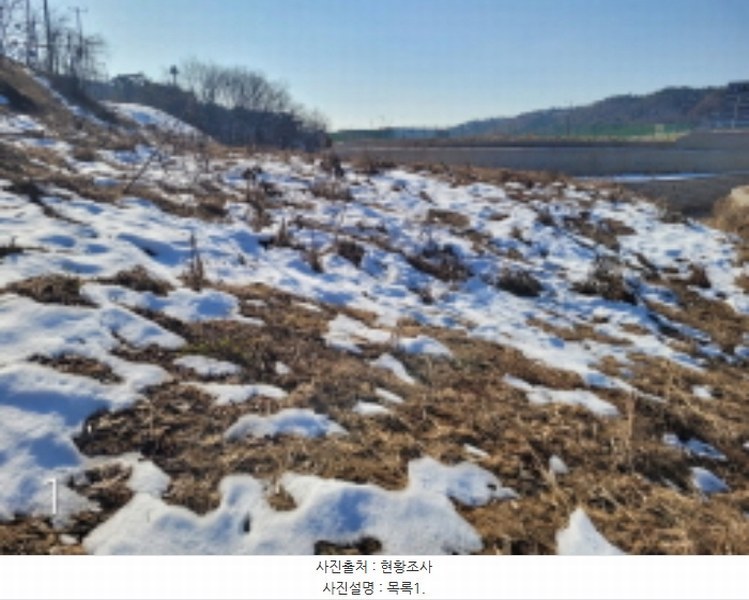 2024타경41807 경기도 이천시 마장면 장암리 555 농지 경매 이미지