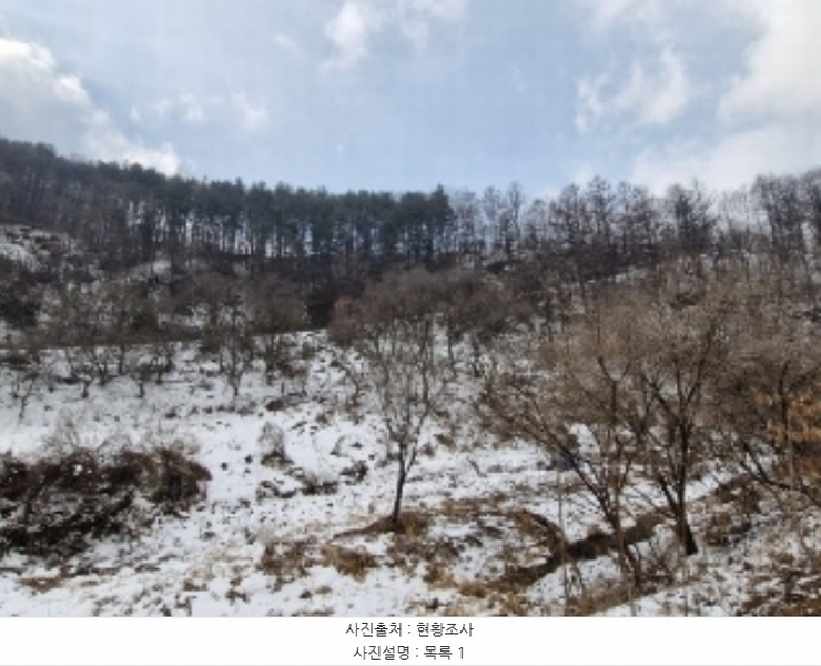 2024타경42558 경기도 양평군 청운면 가현리 401-1 임야 경매 이미지