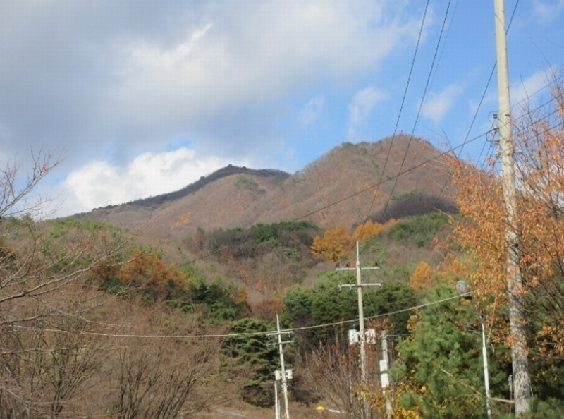 2018타경33607 경기도 양평군 옥천면 용천리 산43 임야 경매 이미지