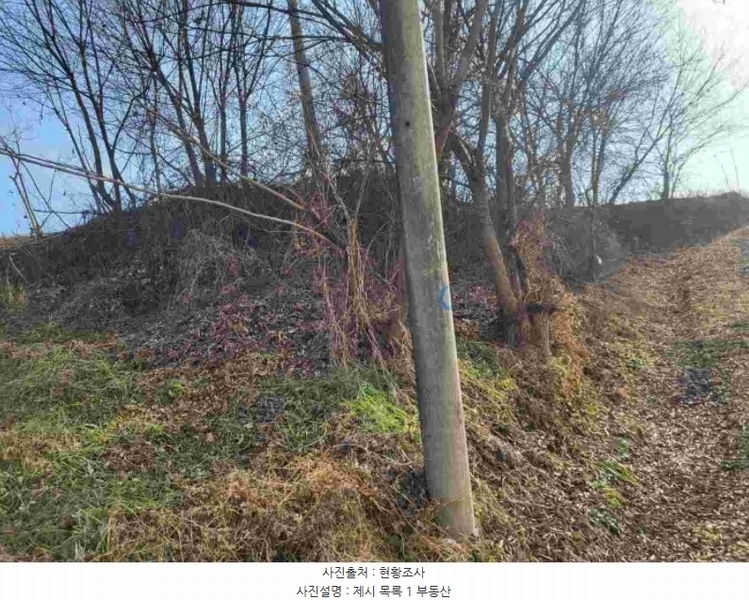 2023타경5873 경기도 양평군 양동면 쌍학리 165-1 대지 경매 이미지