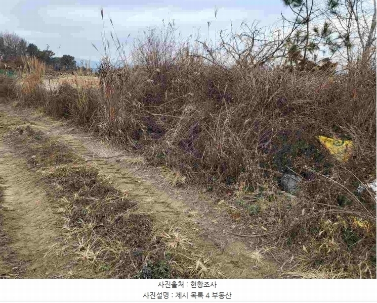 2023타경37702 경기도 여주시 세종대왕면 왕대리 산73-6 임야 경매 이미지