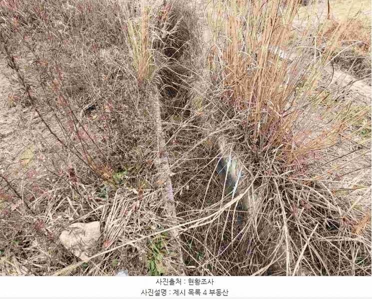 2023타경37702 경기도 여주시 세종대왕면 왕대리 산73-6 임야 경매 이미지