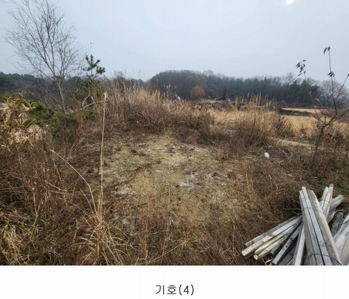 2023타경37702 경기도 여주시 세종대왕면 왕대리 산73-6 임야 경매 이미지