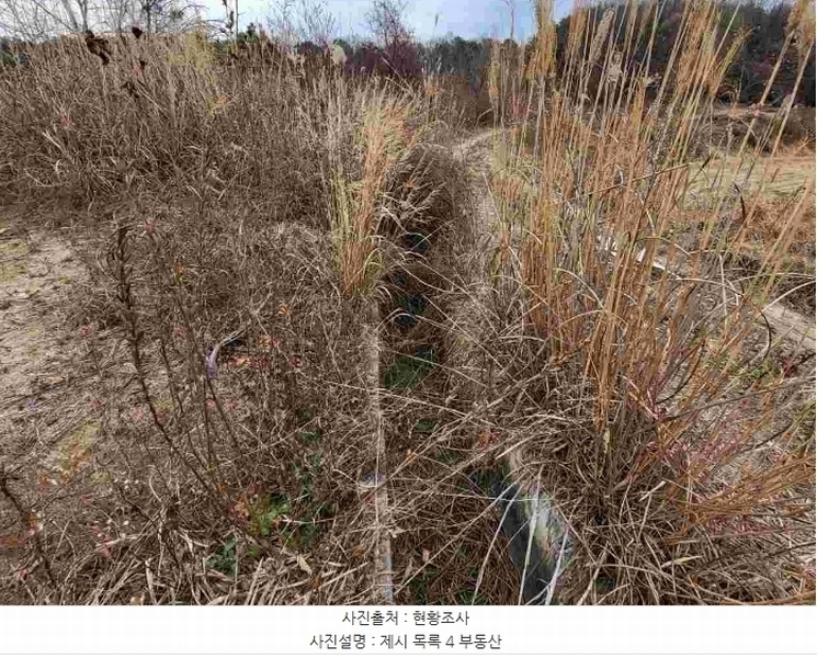 2023타경37702 경기도 여주시 세종대왕면 왕대리 산73-6 임야 경매 이미지