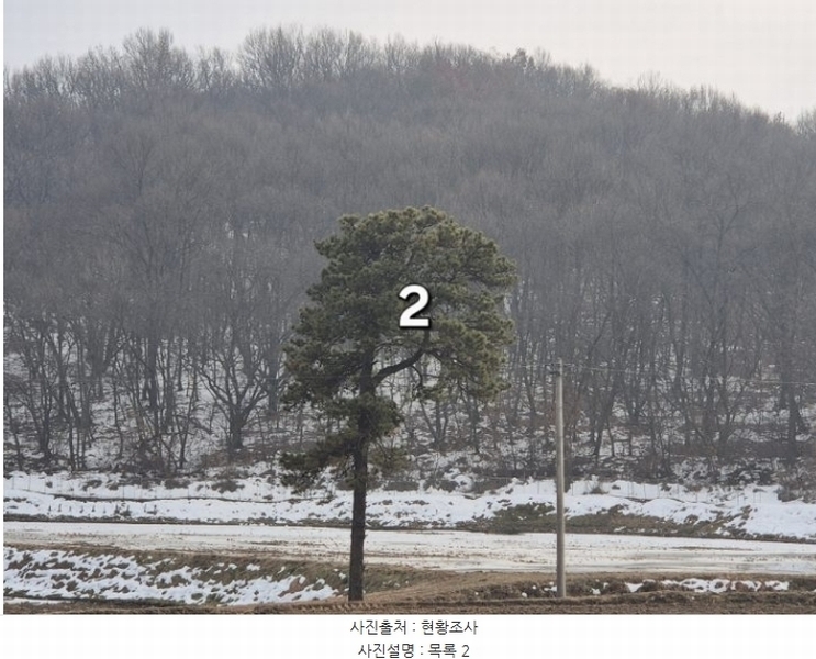 2024타경219 경기도 이천시 증일동 314-4 임야 경매 이미지