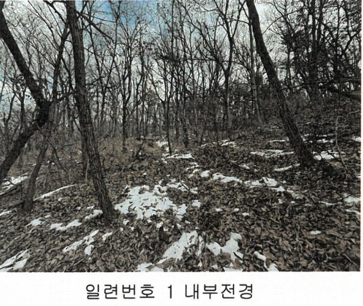 2024타경219 경기도 이천시 증일동 314-4 임야 경매 이미지