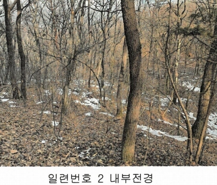 2024타경219 경기도 이천시 증일동 314-4 임야 경매 이미지