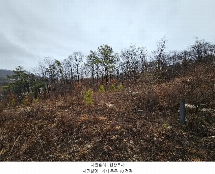 2024타경219 경기도 이천시 증일동 314-4 임야 경매 이미지