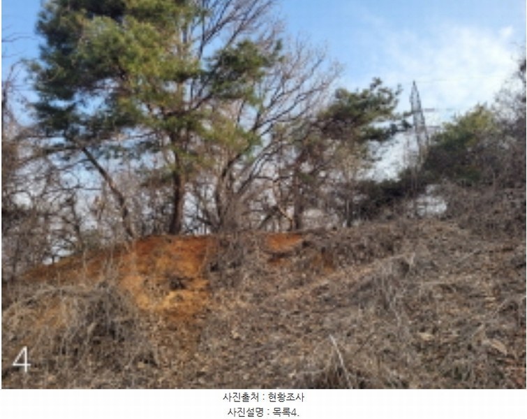 2024타경516 경기도 양평군 양평읍 공흥리 643-10 임야 경매 이미지