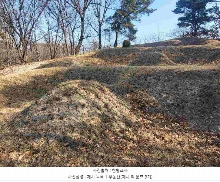 2024타경820 경기도 여주시 점봉동 산21-1 임야 경매 이미지