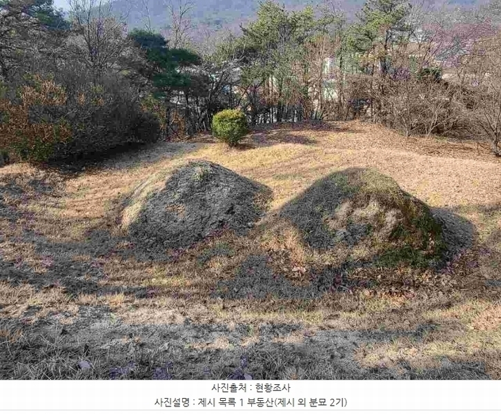 2024타경820 경기도 여주시 점봉동 산21-1 임야 경매 이미지