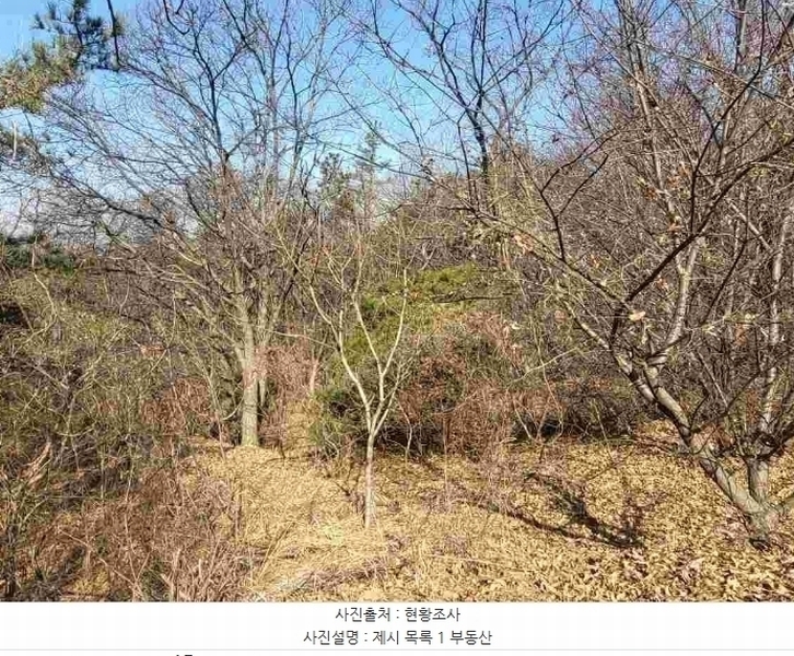 2024타경820 경기도 여주시 점봉동 산21-1 임야 경매 이미지