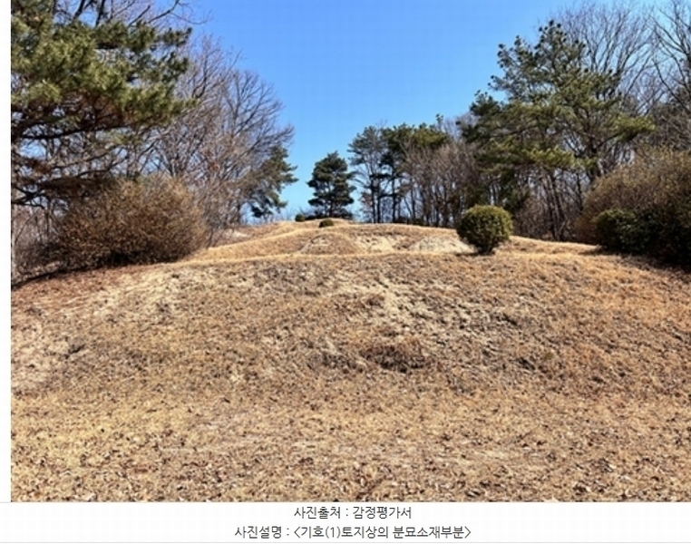 2024타경820 경기도 여주시 점봉동 산21-1 임야 경매 이미지