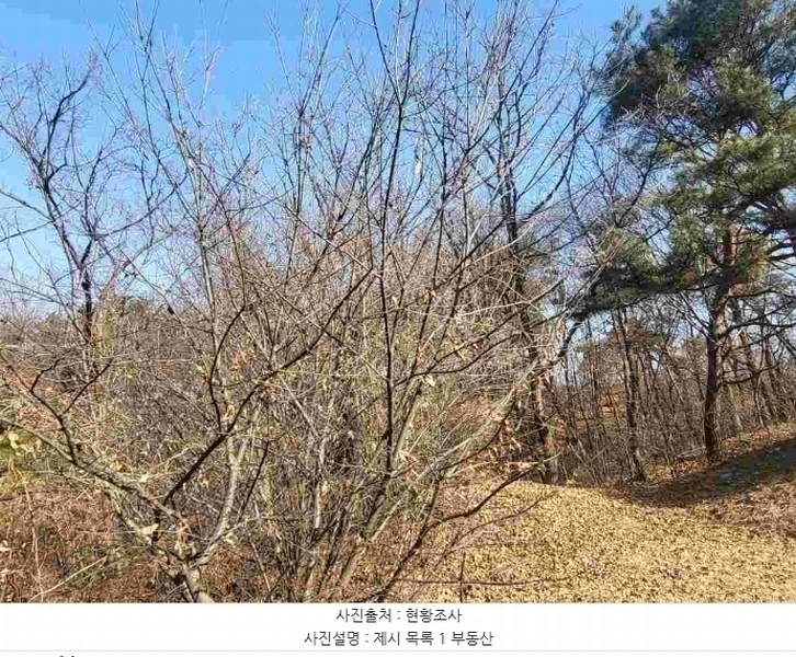 2024타경820 경기도 여주시 점봉동 산21-1 임야 경매 이미지