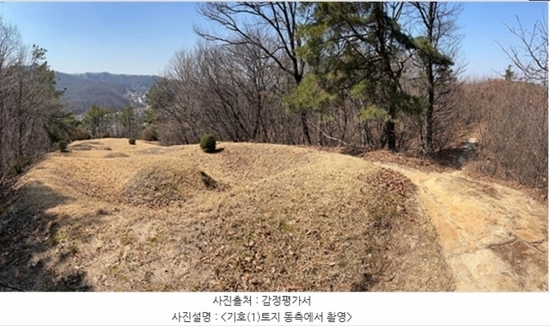 2024타경820 경기도 여주시 점봉동 산21-1 임야 경매 이미지