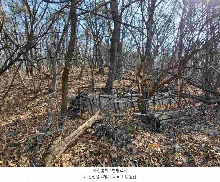 2024타경820 경기도 여주시 점봉동 산21-1 임야 경매 이미지