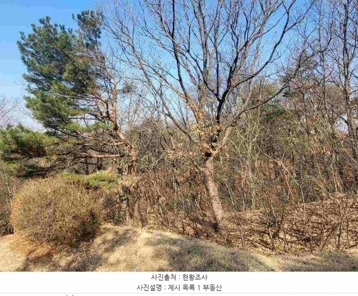 2024타경820 경기도 여주시 점봉동 산21-1 임야 경매 이미지