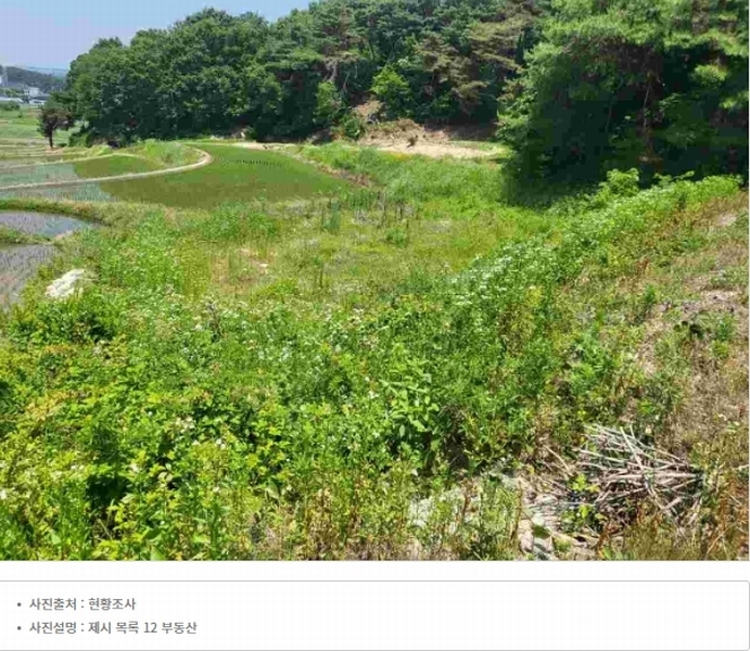 2024타경2697 경기도 여주시 강천면 간매리 496-3 근린시설 경매 이미지
