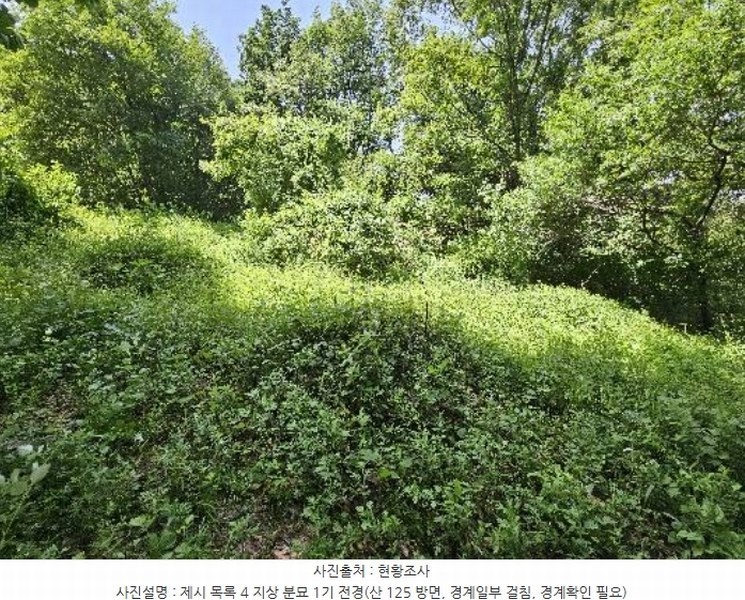 2024타경2888 경기도 여주시 가남읍 신해리 379-22 임야 경매 이미지