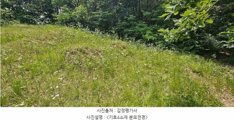2024타경2888 경기도 여주시 가남읍 신해리 379-22 임야 경매 이미지