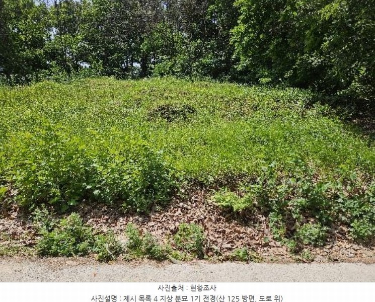 2024타경2888 경기도 여주시 가남읍 신해리 379-22 임야 경매 이미지