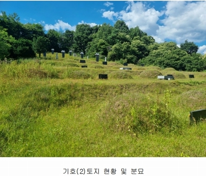 2024타경2895 경기도 양평군 지평면 수곡리 217-4 임야 경매 이미지
