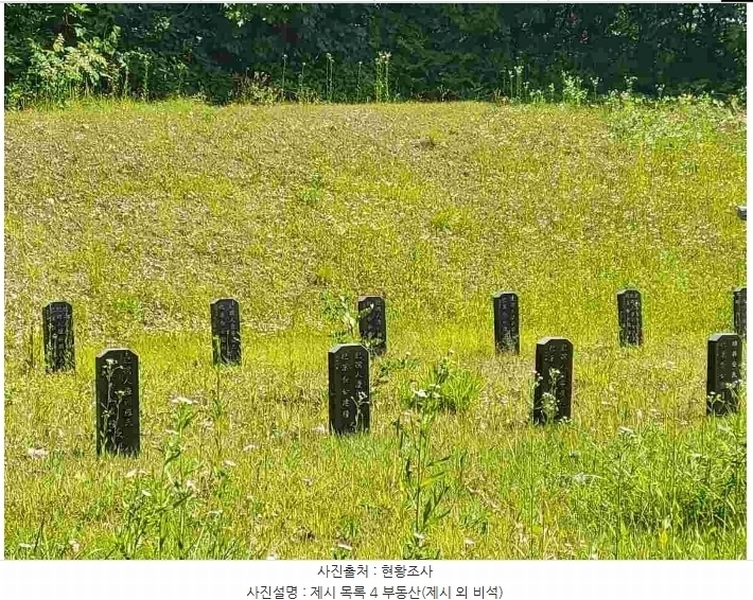 2024타경2895 경기도 양평군 지평면 수곡리 217-4 임야 경매 이미지