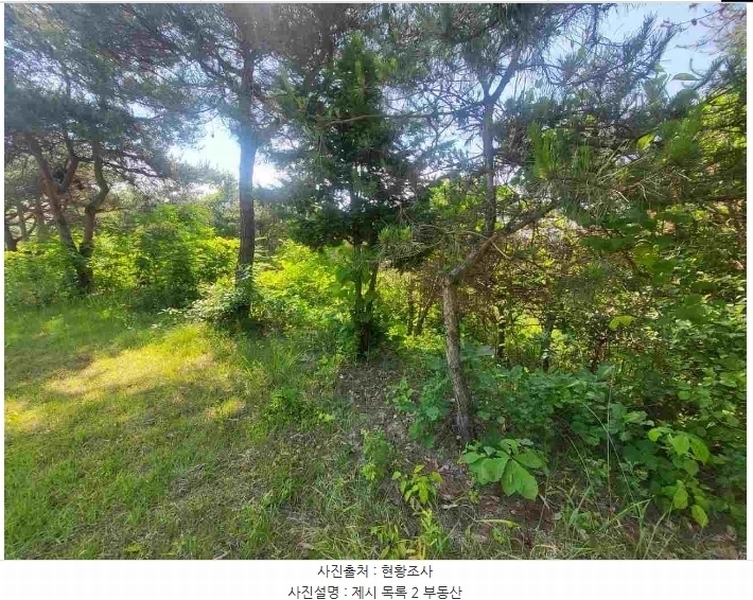 2024타경2895 경기도 양평군 지평면 수곡리 217-4 임야 경매 이미지