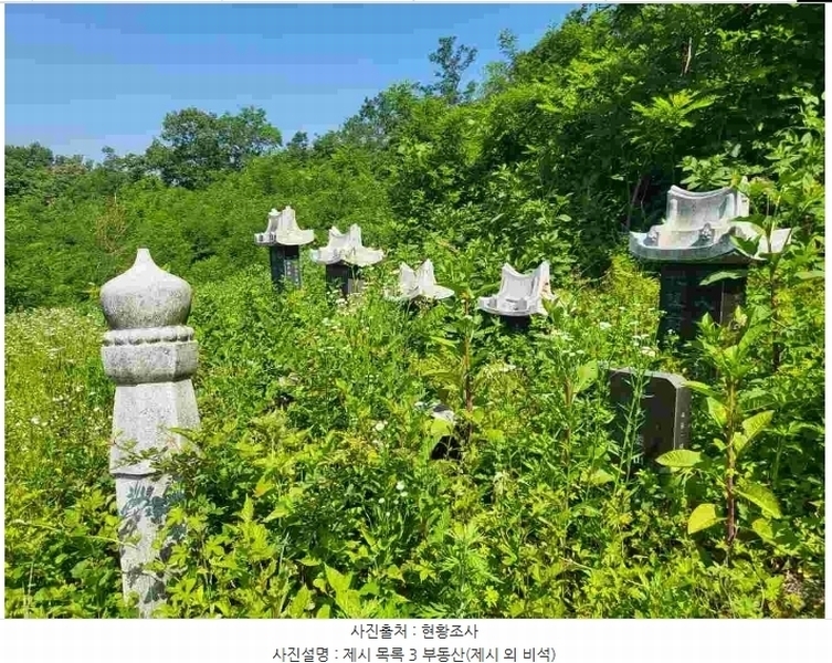 2024타경2895 경기도 양평군 지평면 수곡리 217-4 임야 경매 이미지