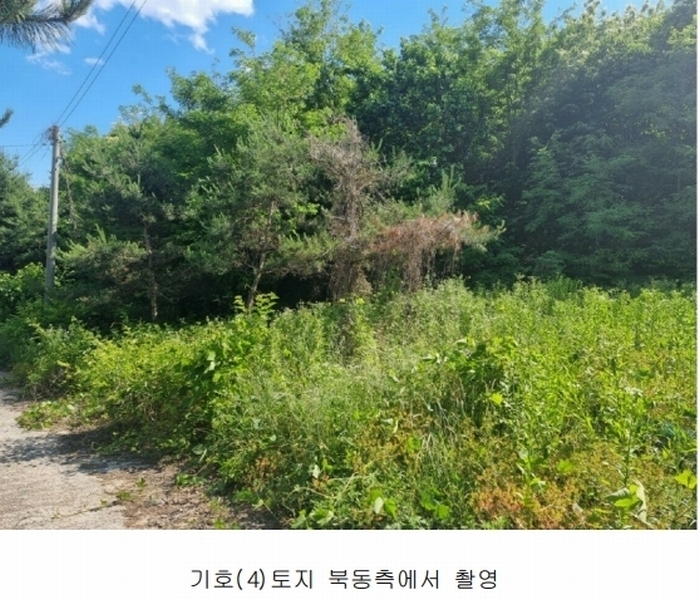 2024타경2895 경기도 양평군 지평면 수곡리 217-4 임야 경매 이미지