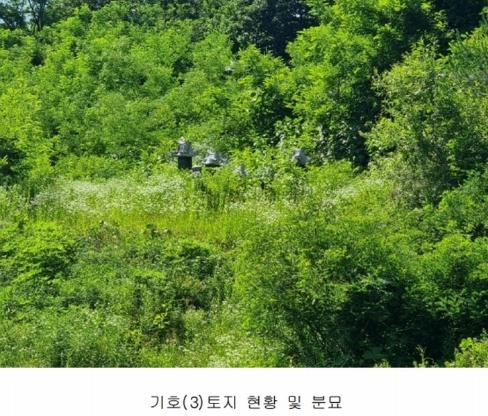 2024타경2895 경기도 양평군 지평면 수곡리 217-4 임야 경매 이미지