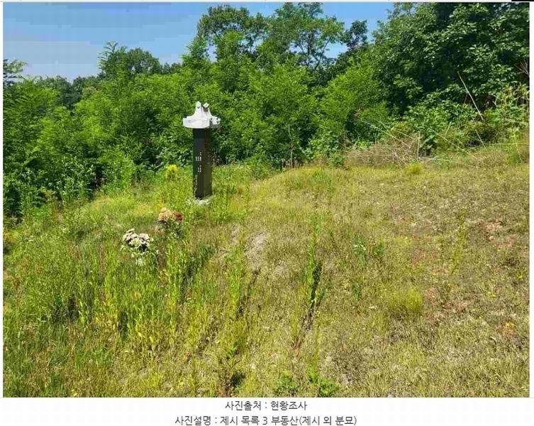 2024타경2895 경기도 양평군 지평면 수곡리 217-4 임야 경매 이미지