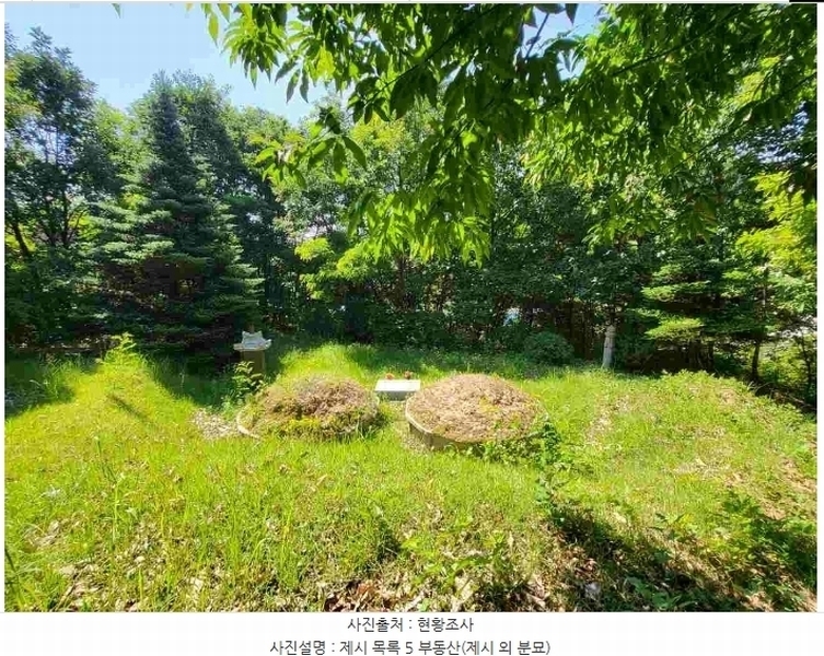 2024타경2895 경기도 양평군 지평면 수곡리 217-4 임야 경매 이미지
