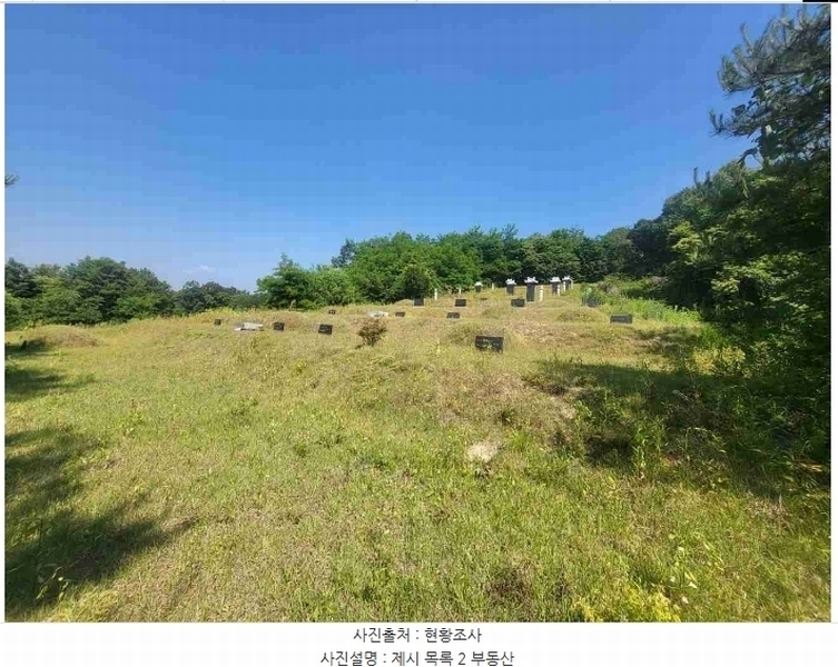 2024타경2895 경기도 양평군 지평면 수곡리 217-4 임야 경매 이미지