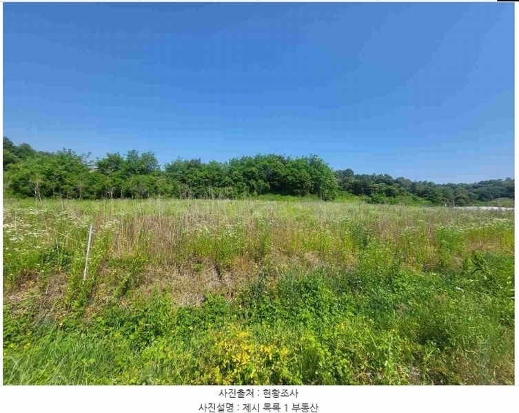 2024타경2895 경기도 양평군 지평면 수곡리 217-4 임야 경매 이미지