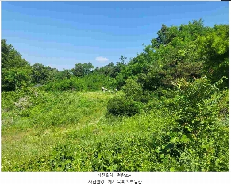 2024타경2895 경기도 양평군 지평면 수곡리 217-4 임야 경매 이미지