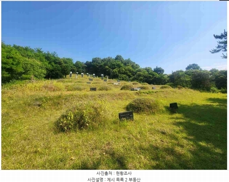 2024타경2895 경기도 양평군 지평면 수곡리 217-4 임야 경매 이미지
