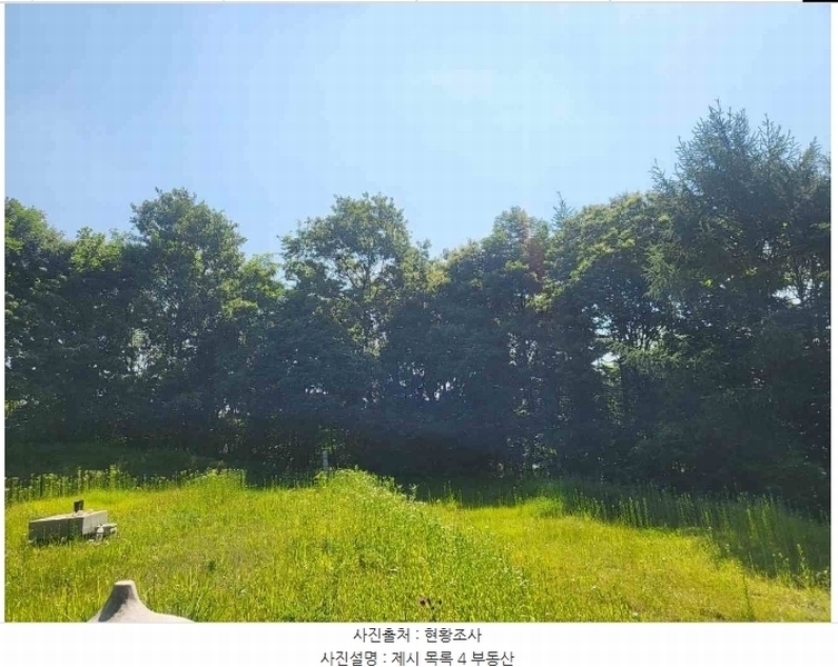 2024타경2895 경기도 양평군 지평면 수곡리 217-4 임야 경매 이미지