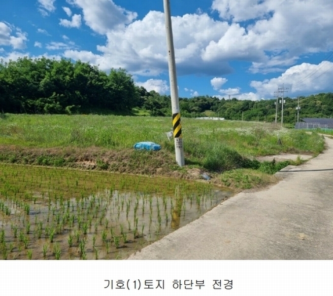 2024타경2895 경기도 양평군 지평면 수곡리 217-4 임야 경매 이미지